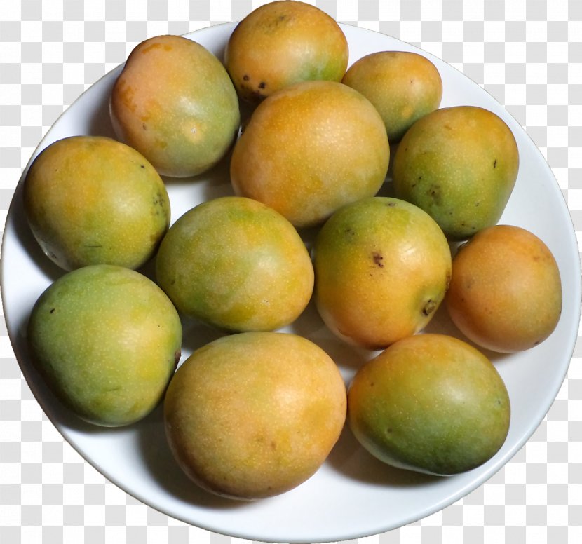 Mango Indian Cuisine Food Mangifera Indica Fruit - Local - Vacation Transparent PNG