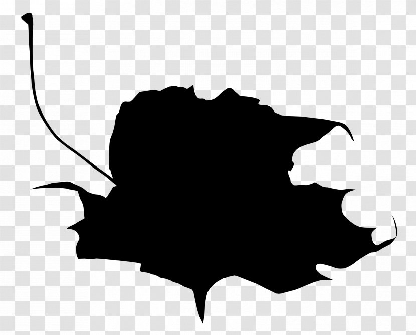 Clip Art Leaf Flower Silhouette Tree - Bat - Black M Transparent PNG