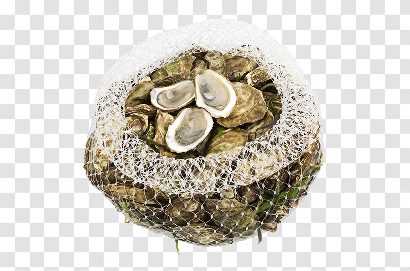 Oyster - Oysters Transparent PNG