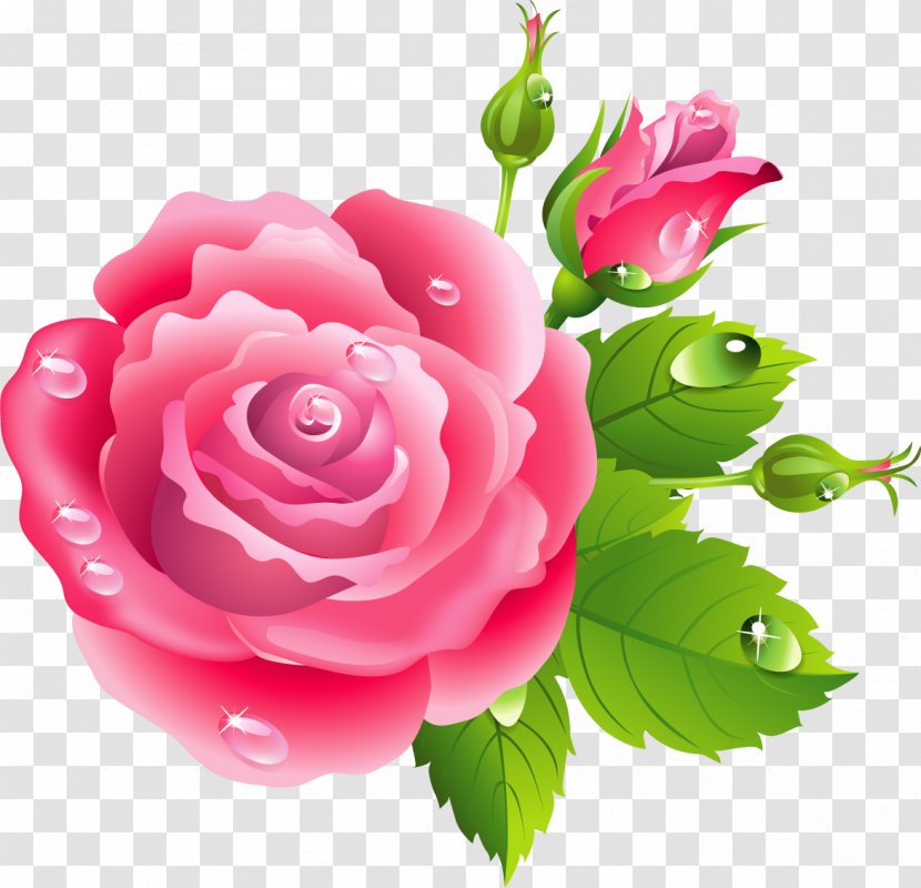 Rose Pink Flowers Drawing - Flower Transparent PNG