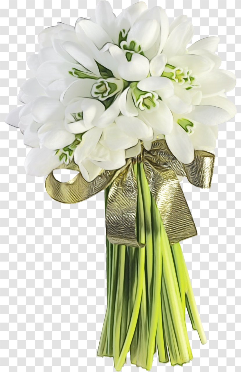 Flower Flowering Plant Bouquet Cut Flowers - Agapanthus Vase Transparent PNG