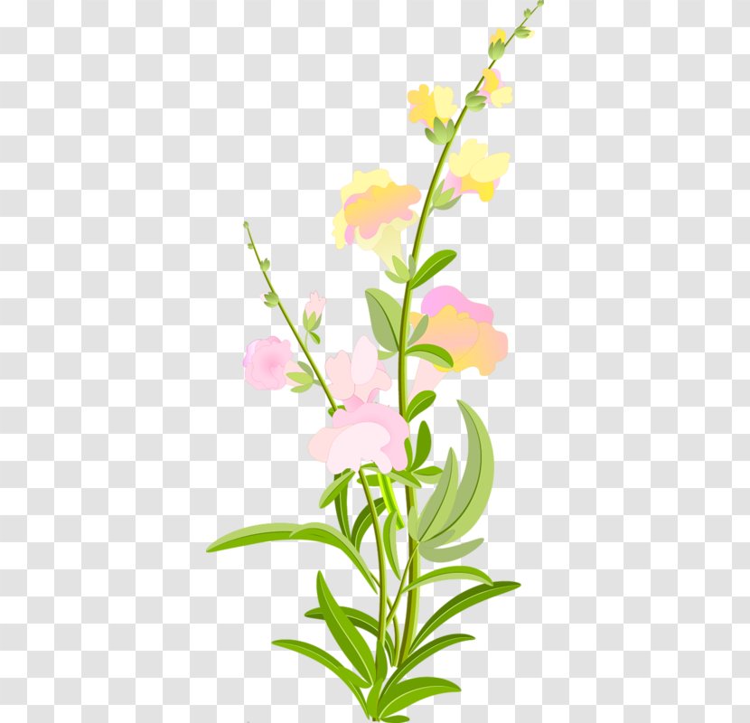 Floral Design Cut Flowers Petal Plant Stem - Flora - Flower Transparent PNG
