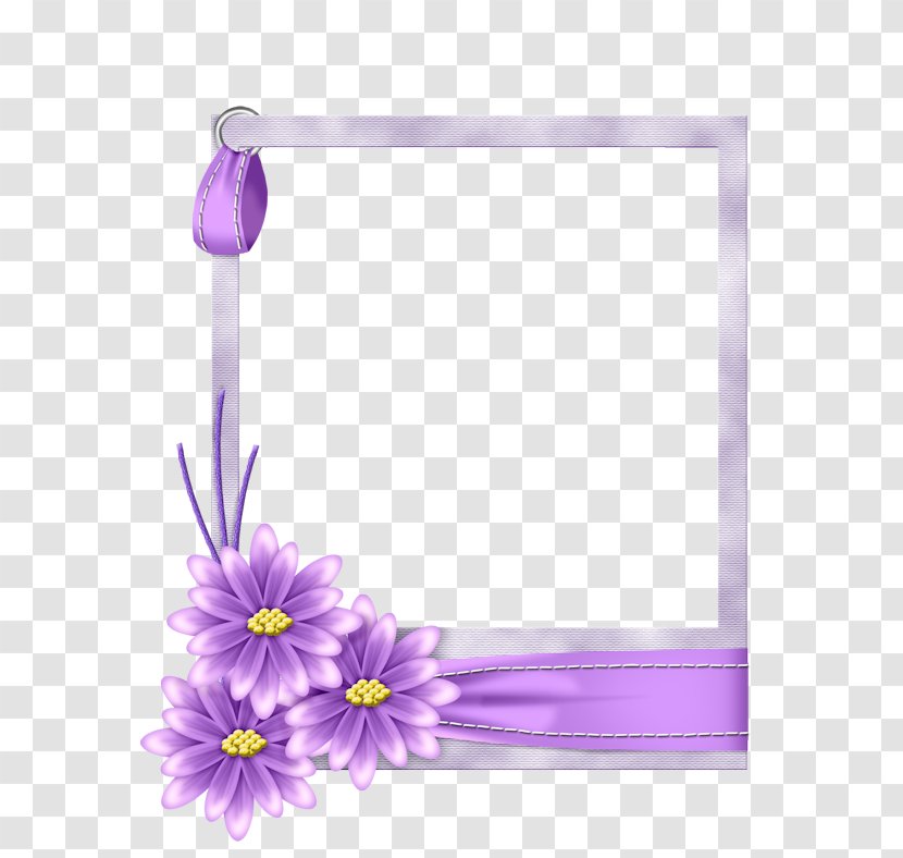Picture Frames Floral Design Flower Blue Clip Art - Wildflower - Peach Blossom Border Transparent PNG