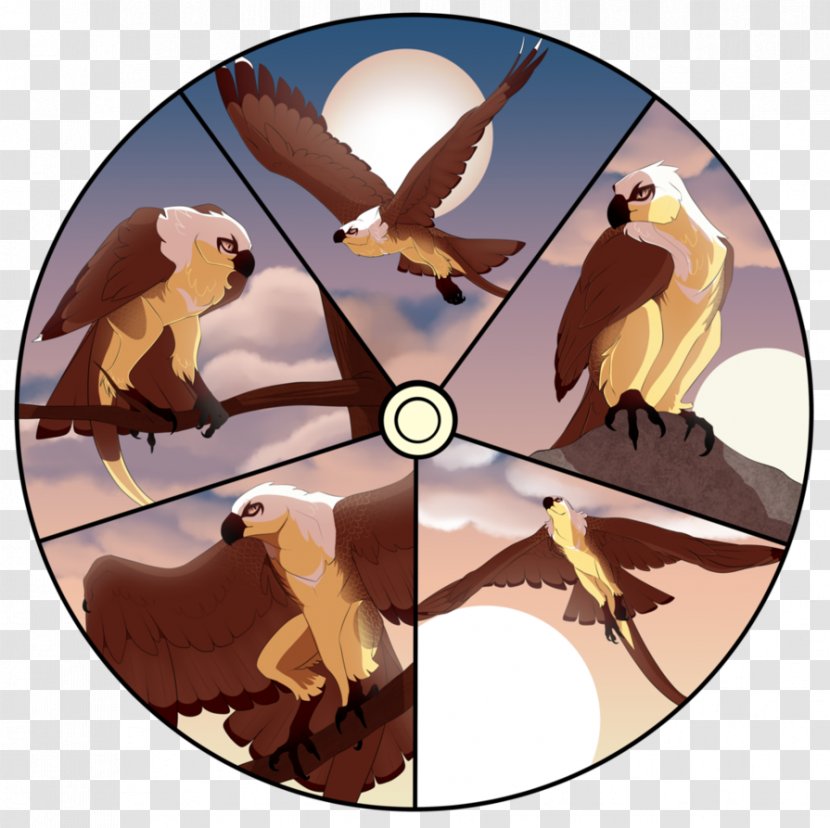 Owl Fauna Beak Animated Cartoon - Bird Of Prey Transparent PNG