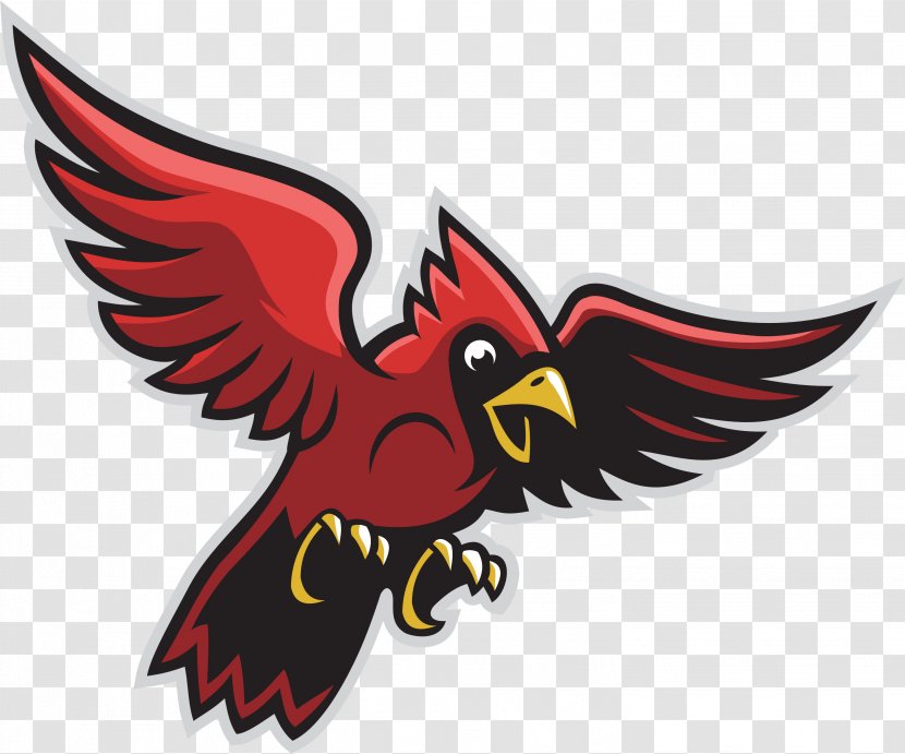 Bird St. Louis Cardinals Wing Clip Art - Logo - Cardial Transparent PNG