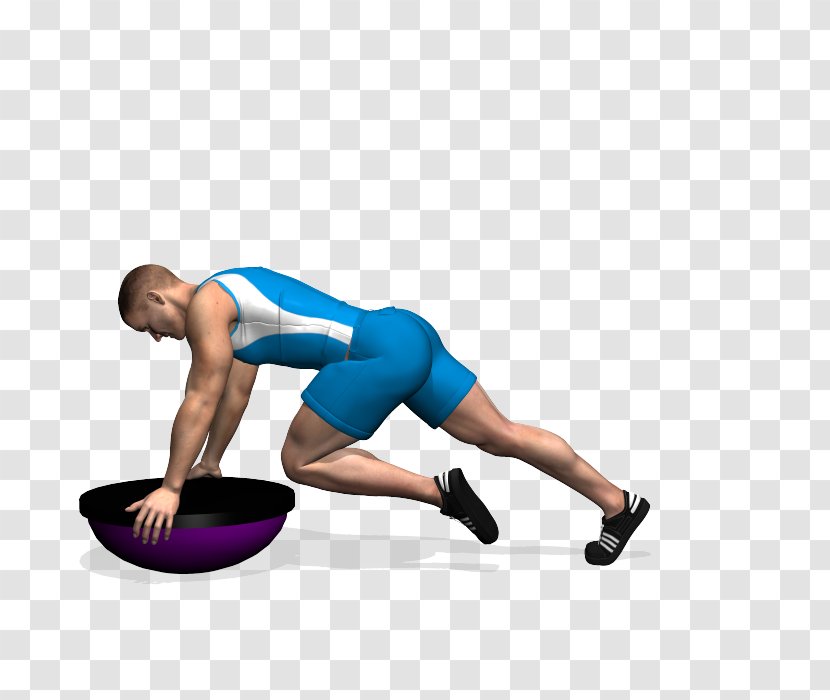 Gluteal Muscles Exercise Squat BOSU High-intensity Interval Training - Tree - Fitness App Transparent PNG