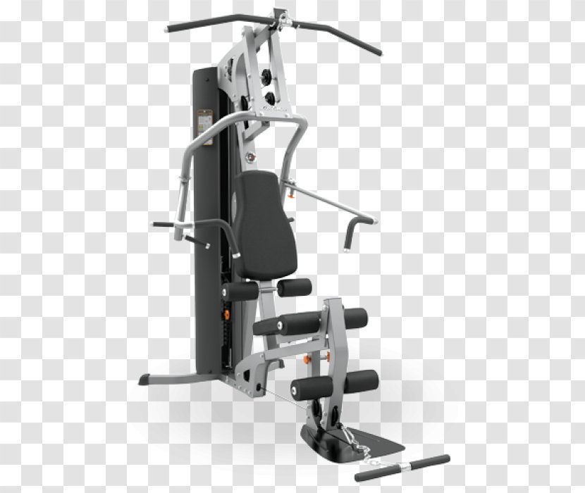 Fitness Centre Life Exercise Equipment Strength Training - Physical - Ireland Transparent PNG
