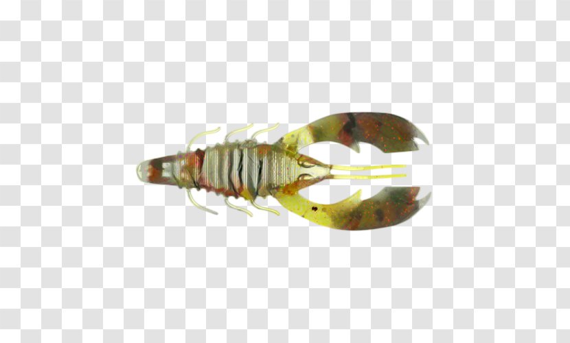 Fishing Cartoon - Lobster - Decapoda Lure Transparent PNG
