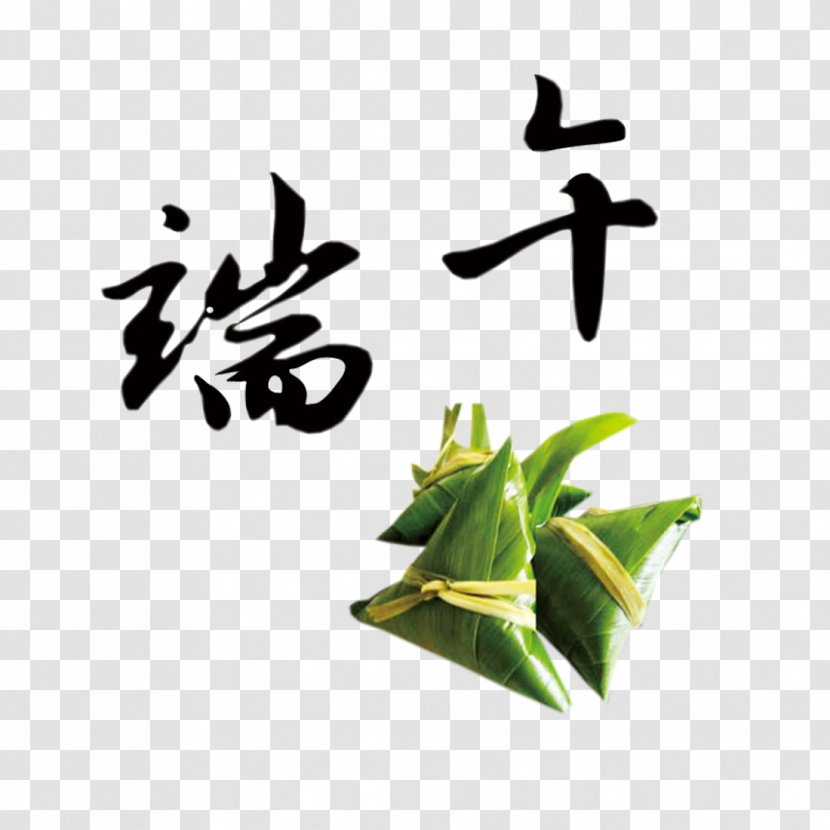 Zongzi U7aefu5348 Dragon Boat Festival 5u67085u65e5 - Green - Real Dumplings Illustration Transparent PNG