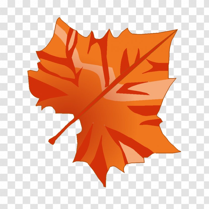 Maple Leaf Technical Drawing - Flowering Plant Transparent PNG