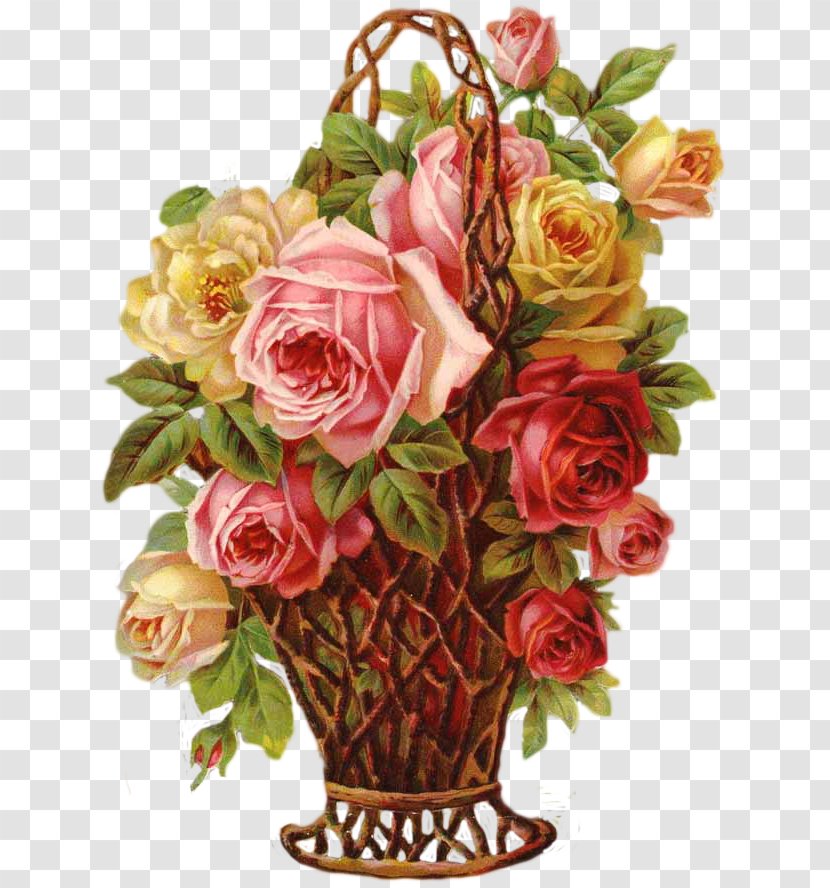 Garden Roses Cabbage Rose Floral Design Flower Bouquet Bokmärke - Flowering Plant Transparent PNG