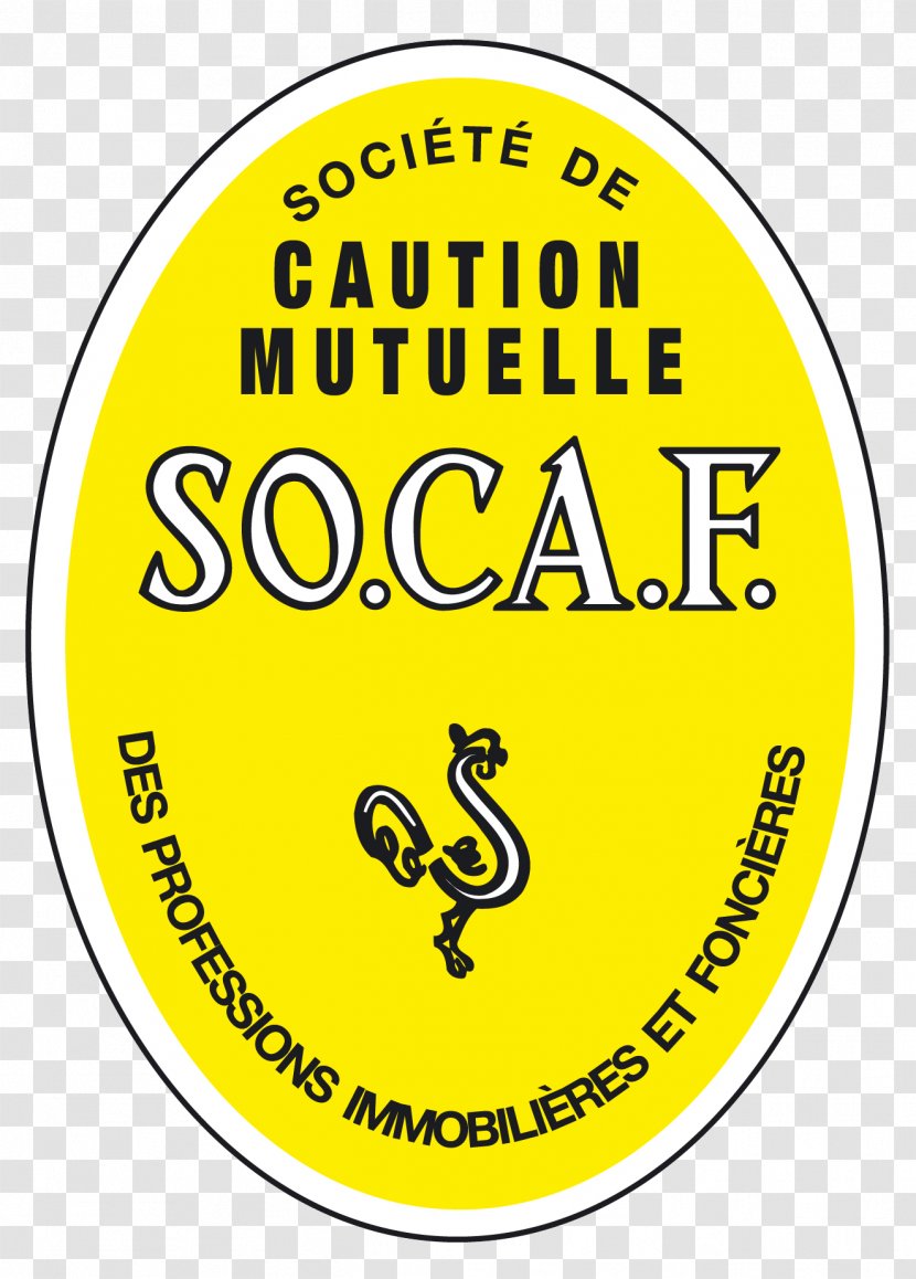 Groupe Socaf Agence Immobilière Kbernardi Immo- Saint Denis-Ile De La Réunion Real Property Estate Agent - Management - Immobilier Transparent PNG