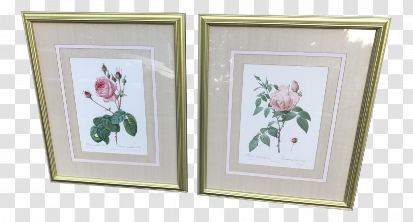 Picture Frames Art Cabbage Rose Printmaking - Arts Transparent PNG