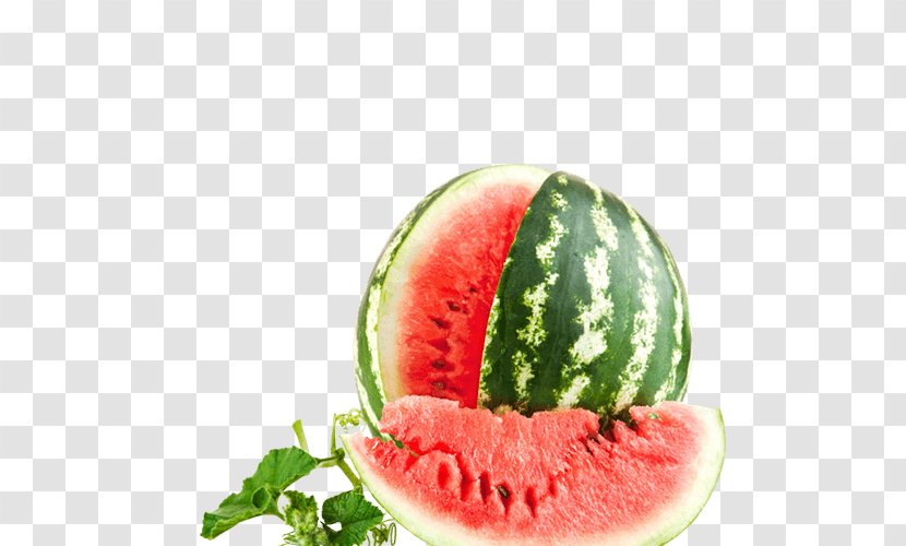 Desktop Wallpaper Watermelon Fruit Vegetable Food - Cucumber Transparent PNG