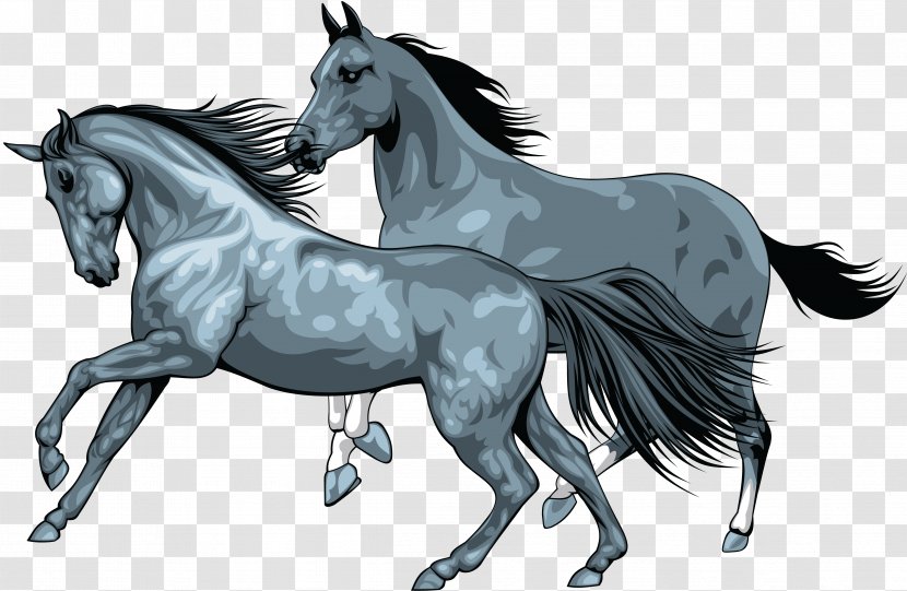 Mustang Canter And Gallop Horse Racing Wild - Horses Transparent PNG