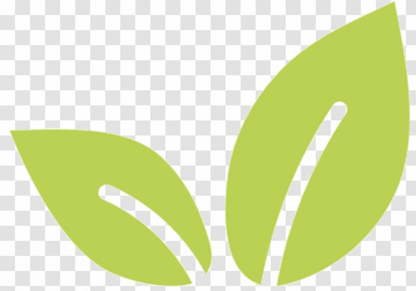Logo Font Product Brand Desktop Wallpaper - Green - Trademark Transparent PNG