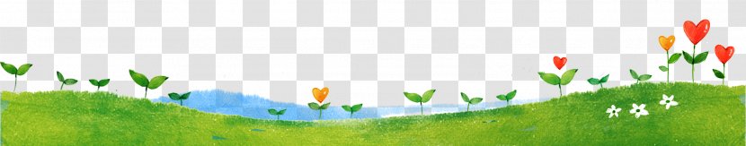 Seedling Germination Poster - Leaf - Grassland Transparent PNG