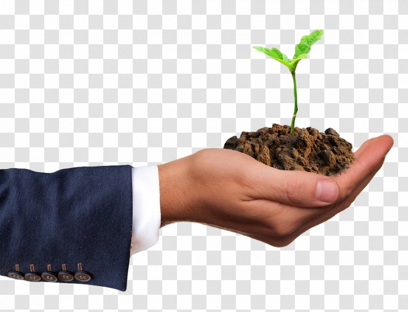 Hand Plant Soil Gesture Flowerpot Transparent PNG