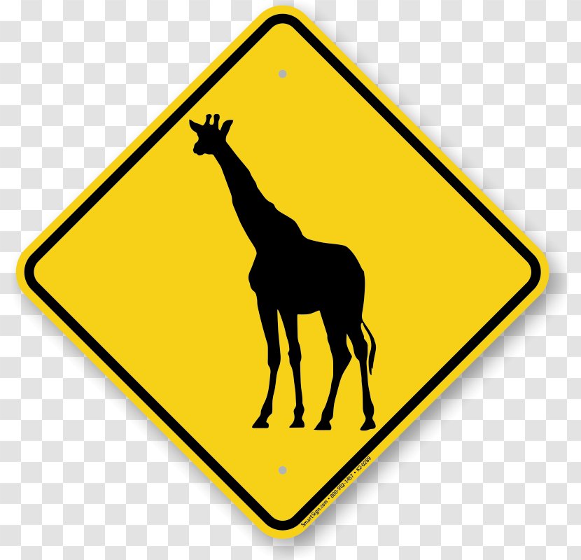 Giraffe Kruger National Park Sign Okapi Leopard - Road - Cross The Transparent PNG