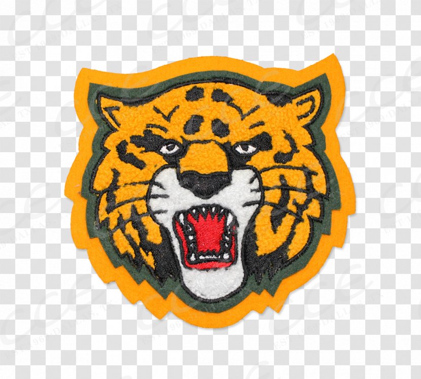 Cincinnati Bearcats Men's Basketball University Of Tiger Mascot Binturong - Roar - Logo Transparent PNG