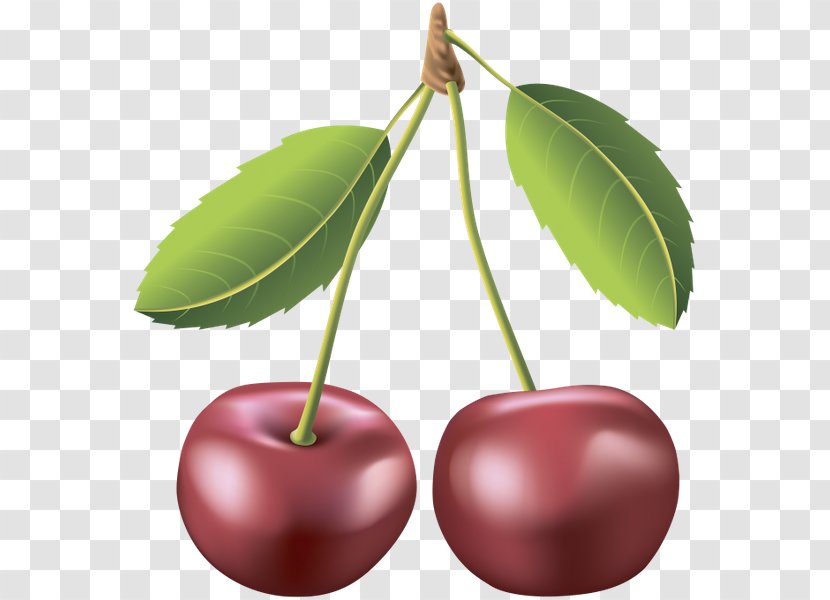 Cherry Auglis Transparent PNG