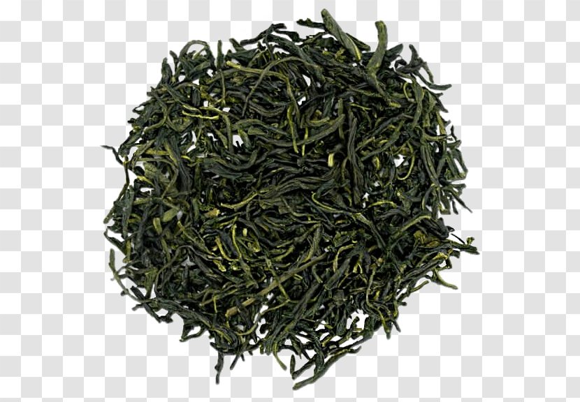 Green Tea Gyokuro Nilgiri Oolong - Ceylon - Chun Mee Transparent PNG