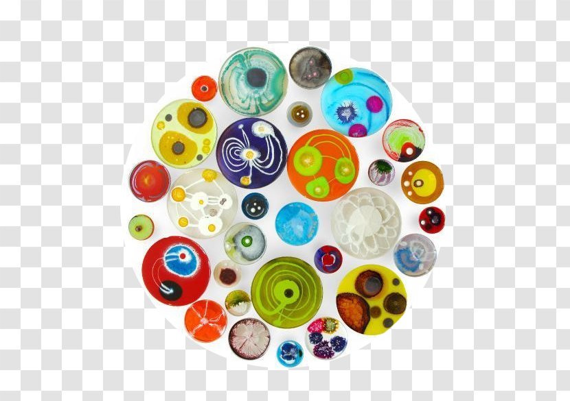 Petri Dish Painting Artist Work Of Art - Microscope - Colorful Transparent PNG