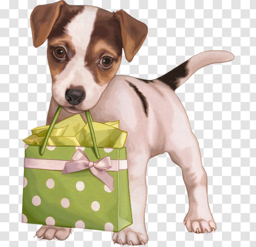 Puppy Dog Breed Jack Russell Terrier Clip Art - Snout Transparent PNG