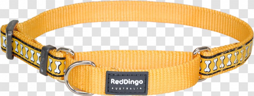 Belt Buckles Dog Collar Martingale - Strap - Collars Transparent PNG