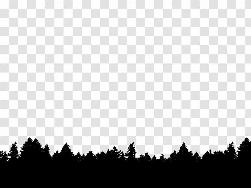Tree Photography Silhouette - Black - Forest Transparent PNG