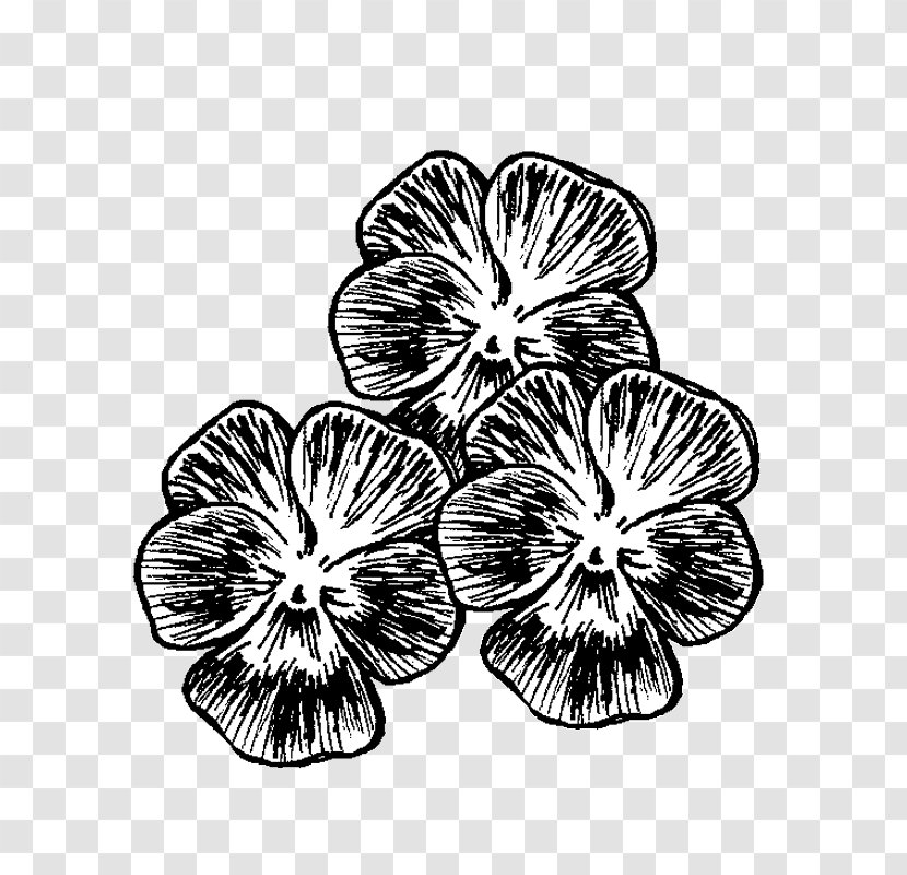 Monochrome Photography Drawing Visual Arts - Flowering Plant - Cornuta Transparent PNG