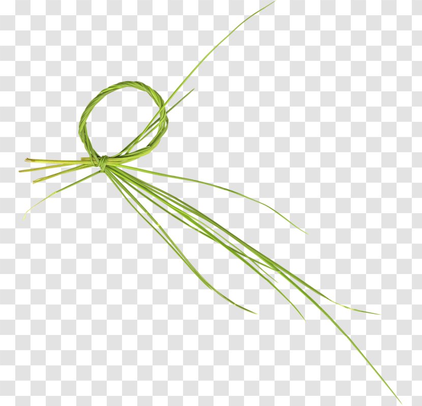 Green Drawing - Rgb Color Model - Grass Transparent PNG