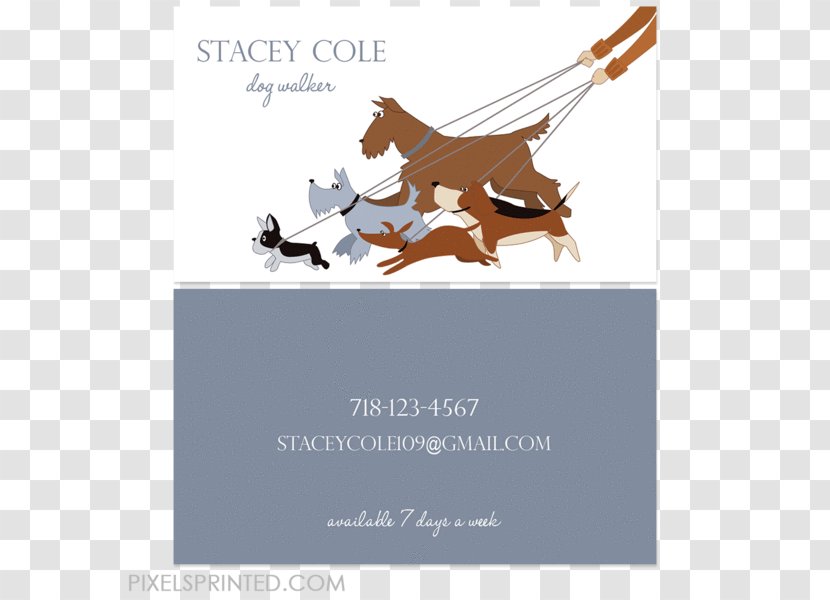 Beagle Cat Bulldog Dog Walking Paseador De Perros - Royaltyfree - Pet Business Card Transparent PNG
