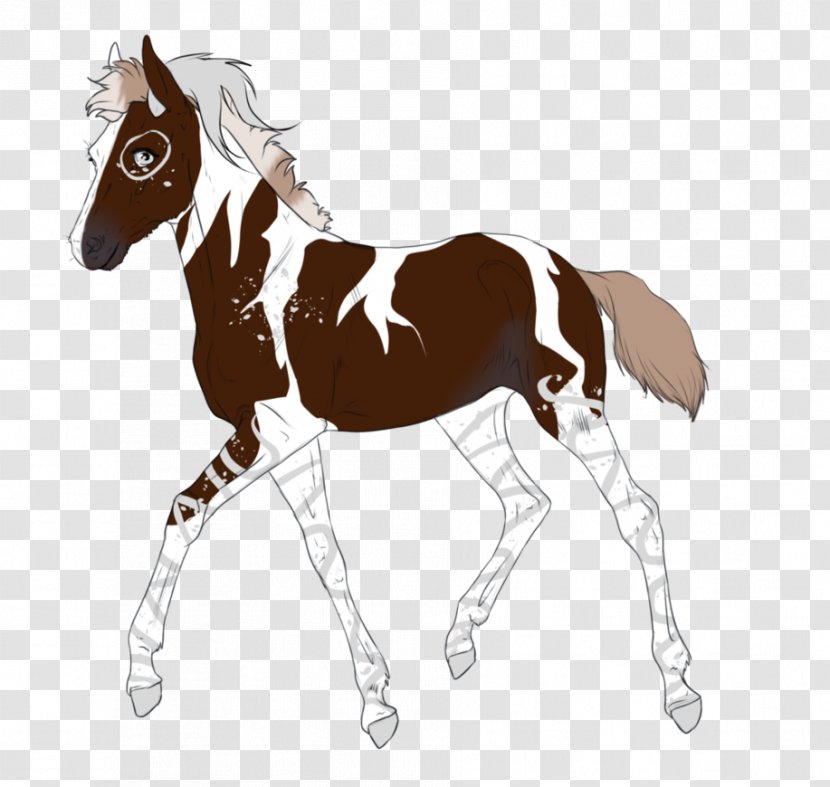 Mustang Foal Mare Stallion Colt Transparent PNG