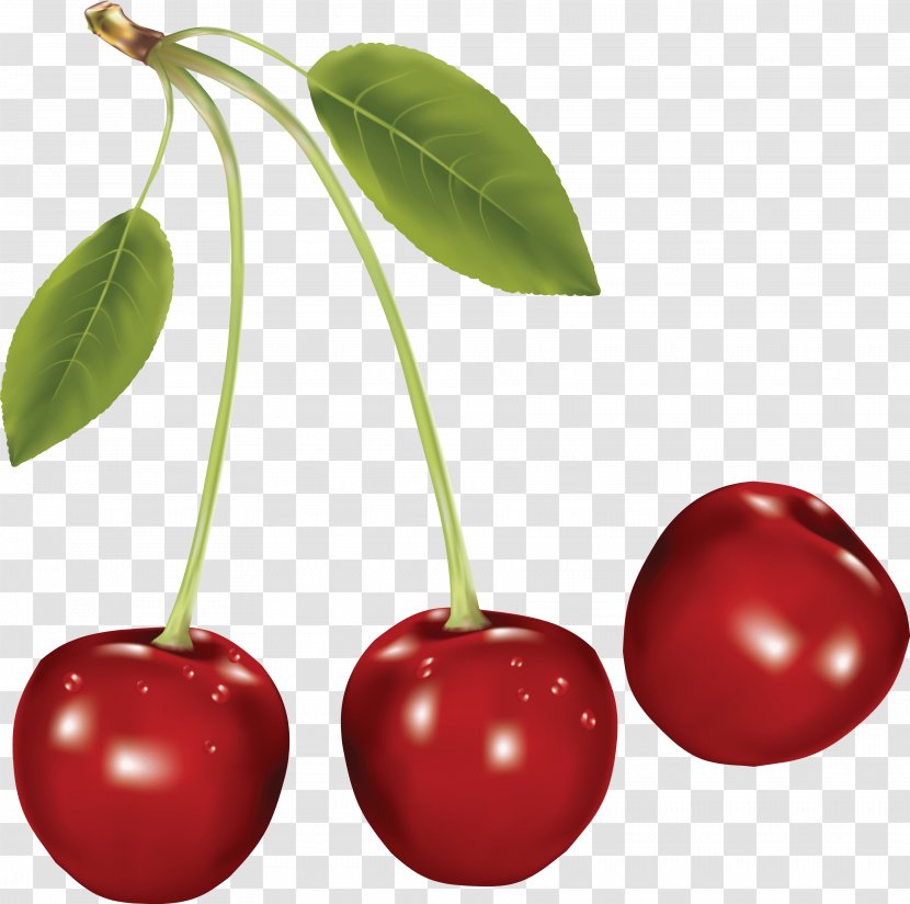 Cherry Clip Art - Acerola Family - Cherries Image Transparent PNG