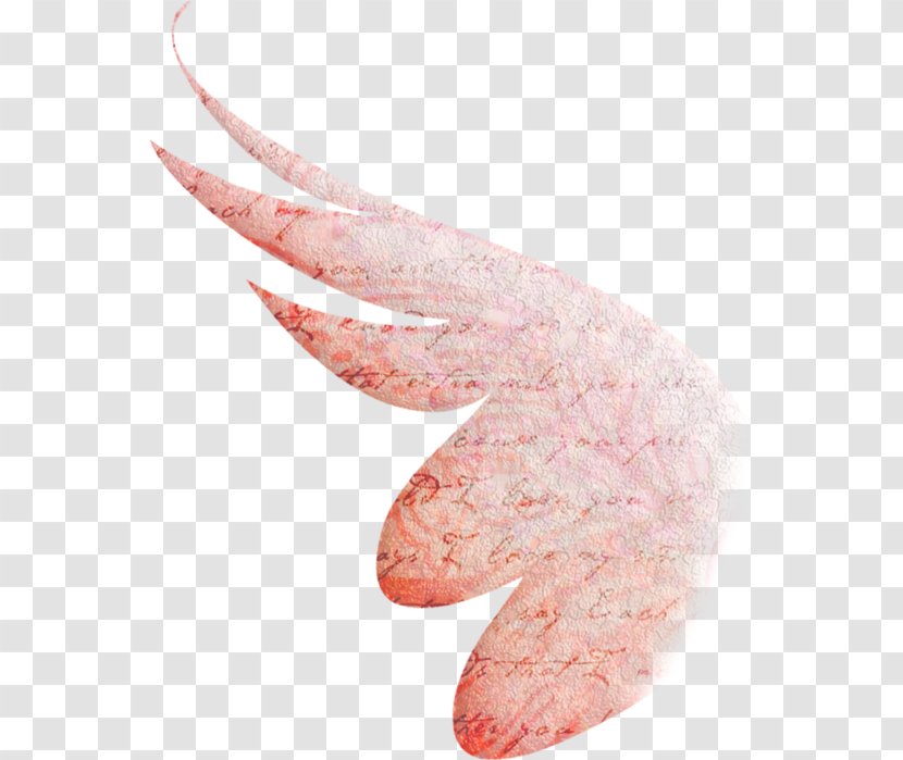 Pink M Mouth - Angel Wings And Halo Transparent PNG