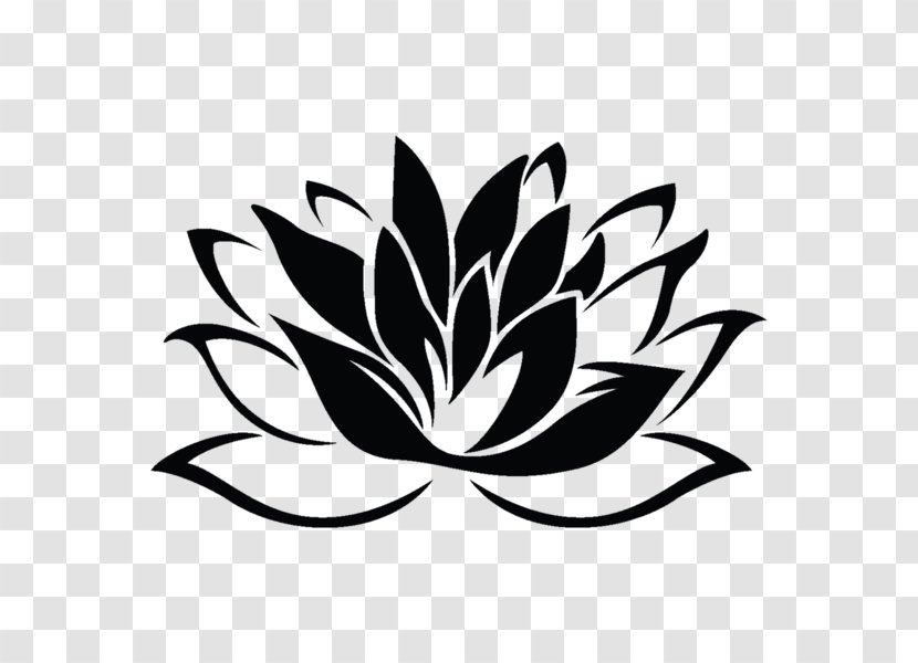 Drawing Sacred Lotus Flower Image Painting - Plant Transparent PNG