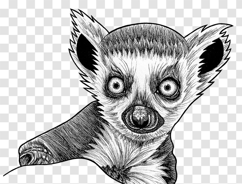 Lemur Aye-aye Drawing Fennec Fox Sketch - Fictional Character Transparent PNG