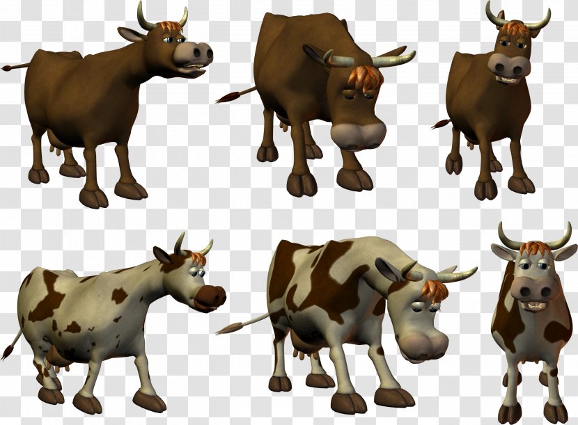 Taurine Cattle Calf Ox - Bull Transparent PNG