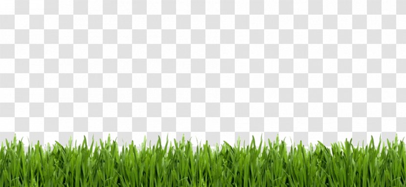 Lawn Image Golf Artificial Turf - Animation Transparent PNG