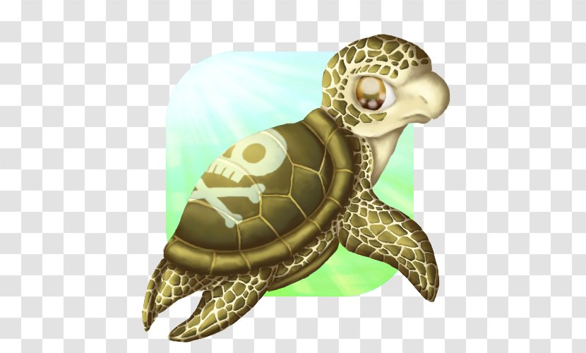 Tortoise Sea Turtle Pond Turtles Terrestrial Animal Transparent PNG