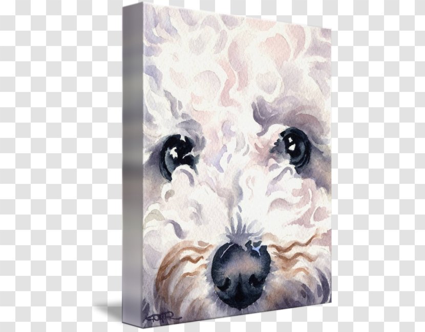 Shih Tzu Bichon Frise Puppy Dog Breed Painting - Love Transparent PNG