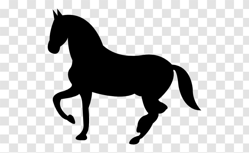 American Quarter Horse Equestrian - Bridle - Black And White Transparent PNG