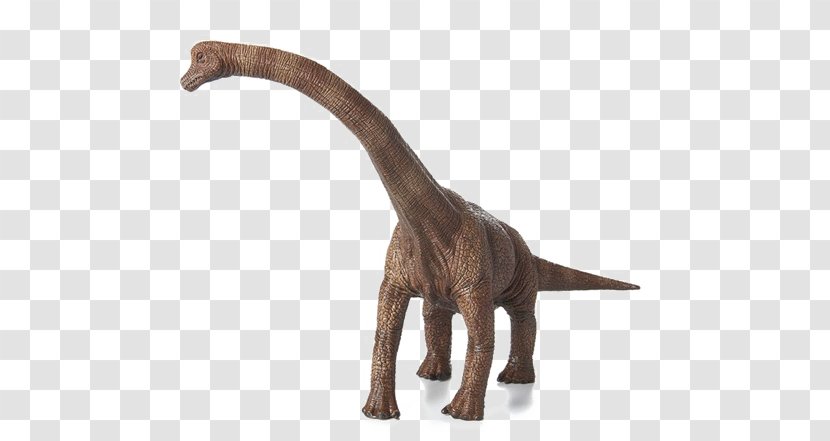 Brachiosaurus Dinosaur Triceratops Jurassic Transparent PNG