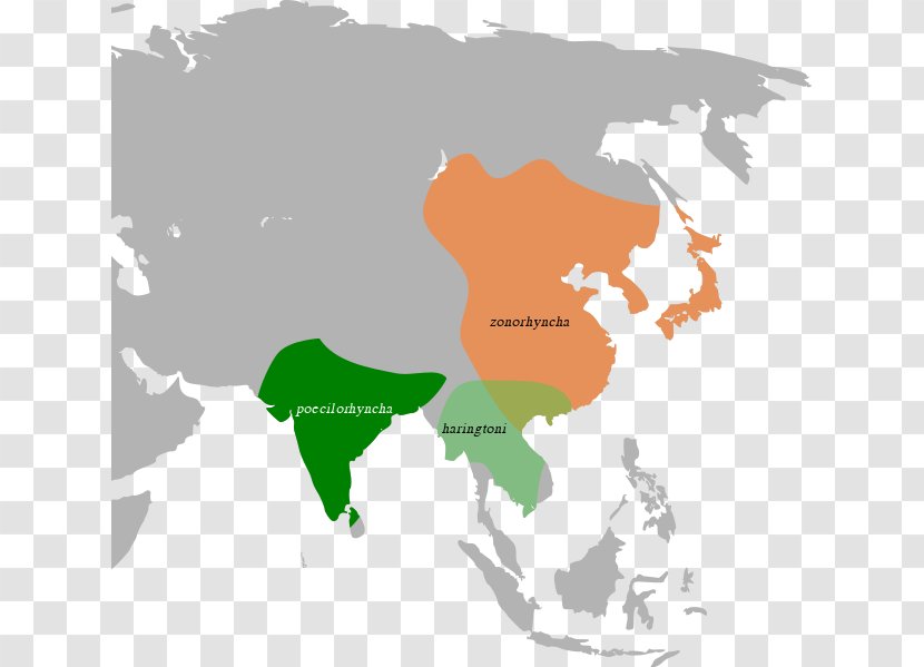 Asia Blank Map Clip Art Transparent PNG