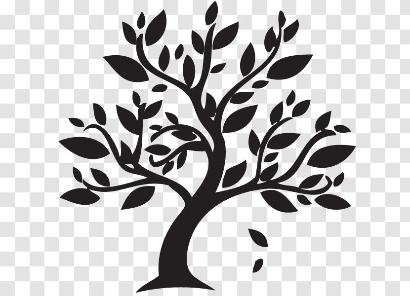 Jesus Or Yeshua? Exploring The Jewish Roots Of Christianity Bible Gospel Judaism - Monochrome Photography - Bird On A Tree Branch Drawing Transparent PNG
