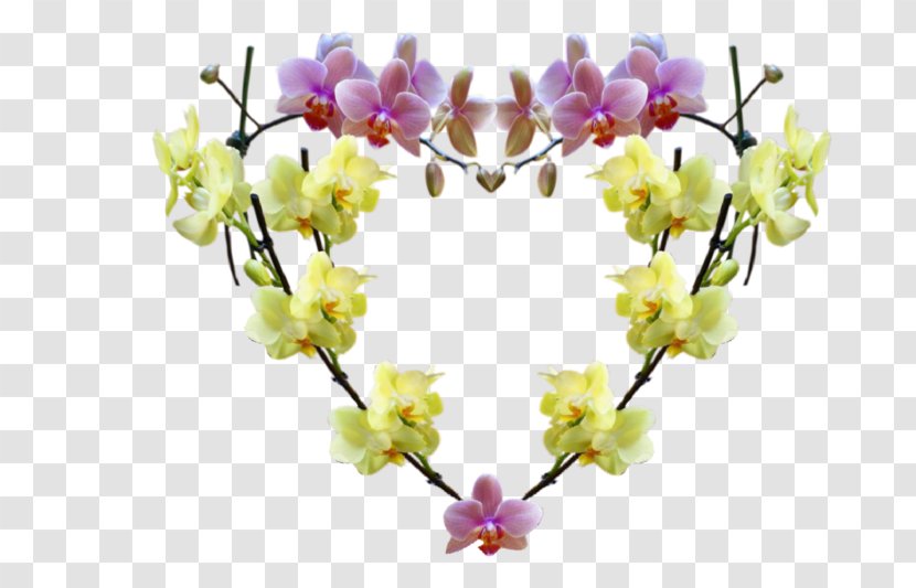 Floral Design Artificial Flower Cut Flowers - Picture Frames Transparent PNG