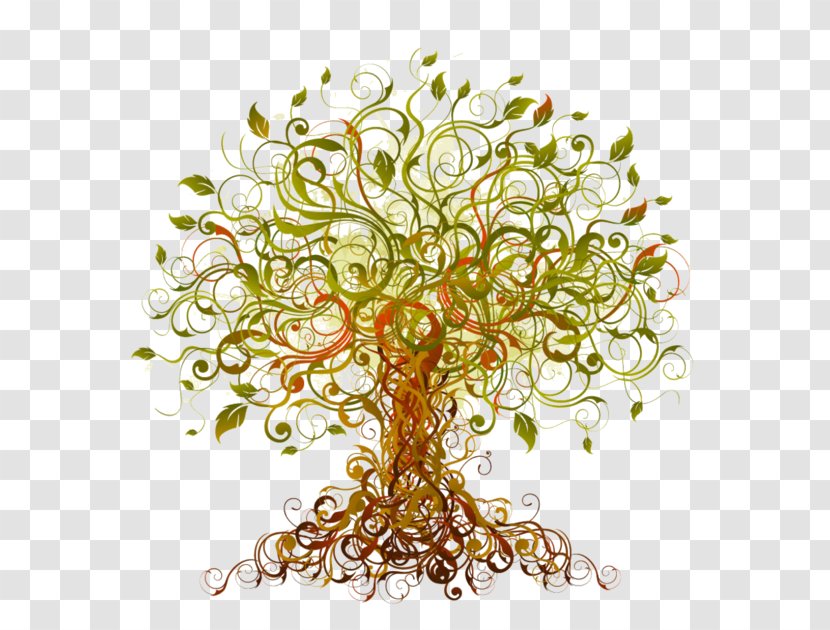 Tree - Home Birth Transparent PNG