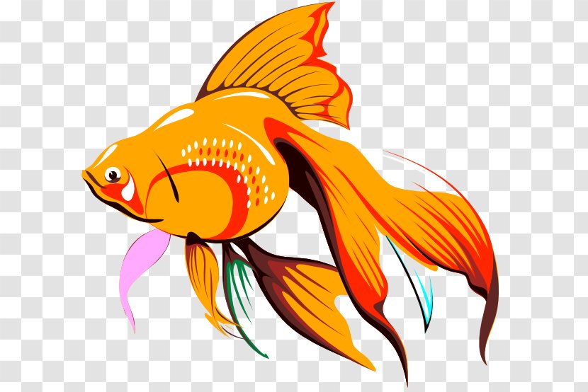 Goldfish Drawing Clip Art - Sticker - Fish Transparent PNG