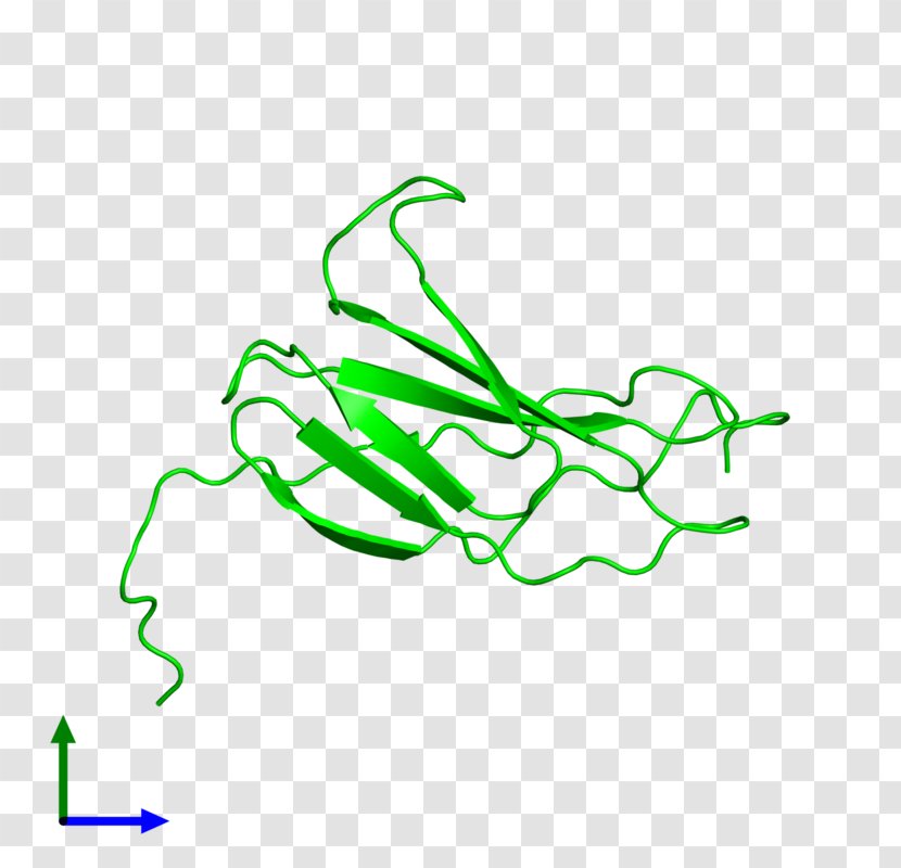 Leaf Line Art Clip - Plant Transparent PNG